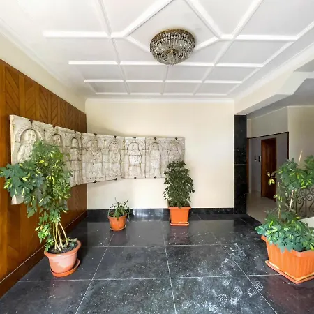 Dalia's Place