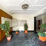 Dalia's Place